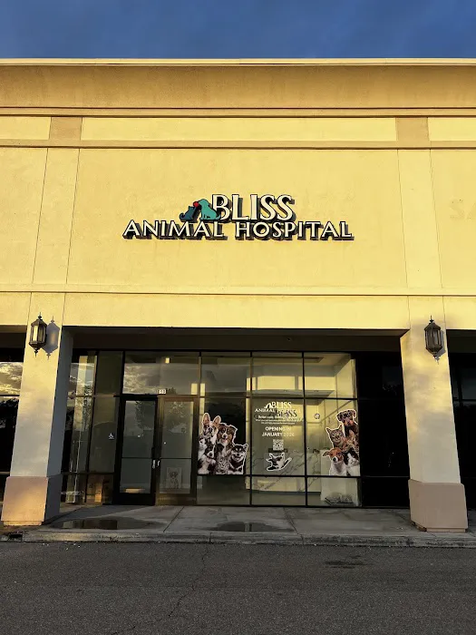 Bliss Animal Hospital 12