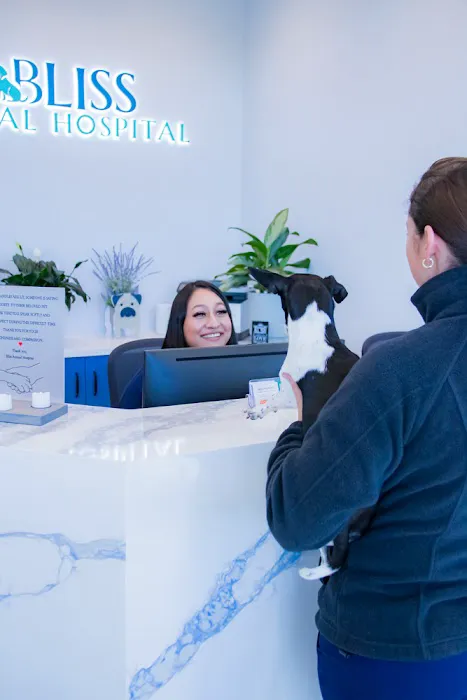 Bliss Animal Hospital 12