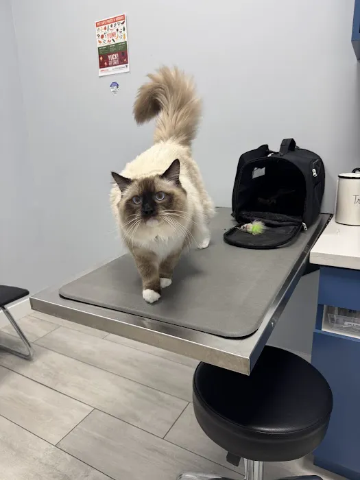 Bliss Animal Hospital 12