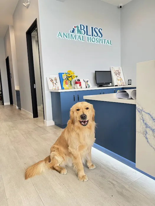 Bliss Animal Hospital 12