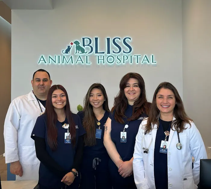 Bliss Animal Hospital 12