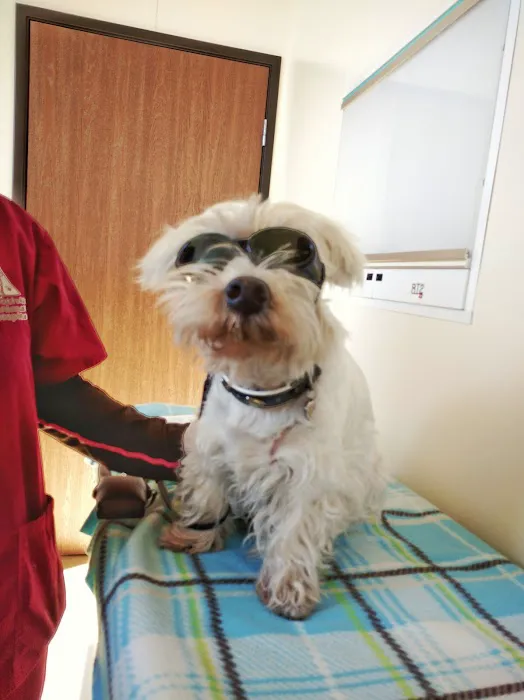 Foothill Animal Hospital, Inc. 12