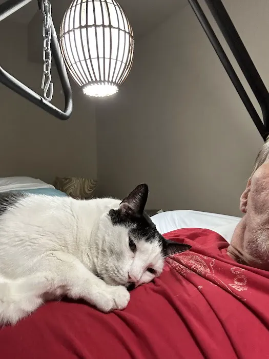 Foothill Animal Hospital, Inc. 12