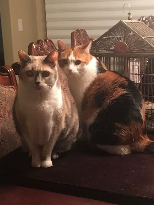 Foothill Animal Hospital, Inc. 12