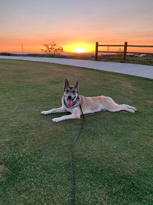 Foothill Animal Hospital, Inc. 12