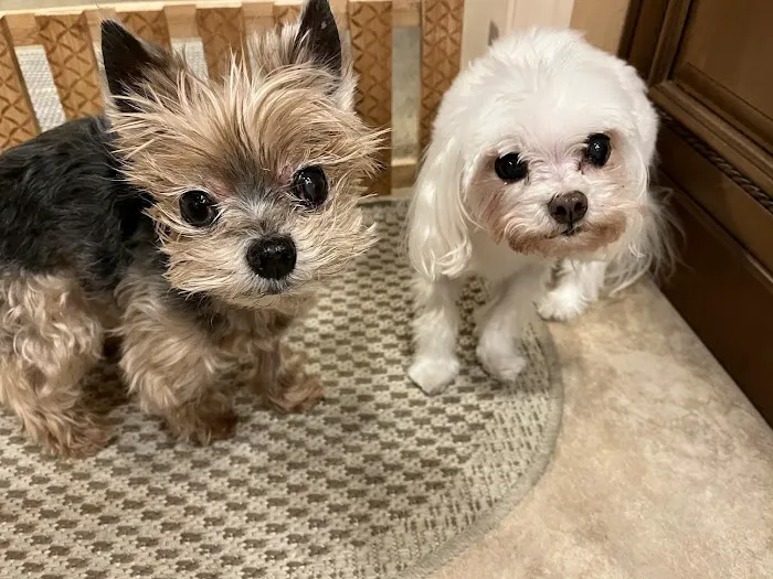 Banfield Pet Hospital 12