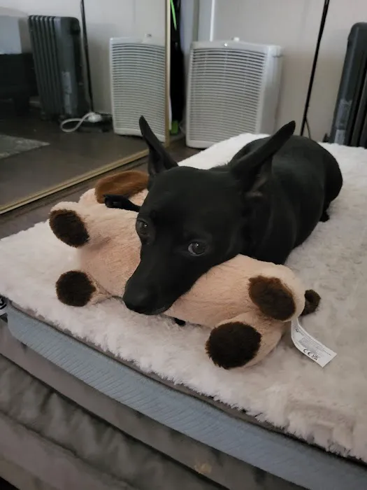 Banfield Pet Hospital 12