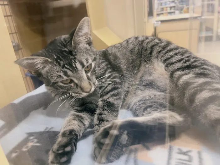 Banfield Pet Hospital 12