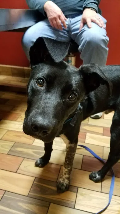 Portola Plaza Veterinary Hospital 12