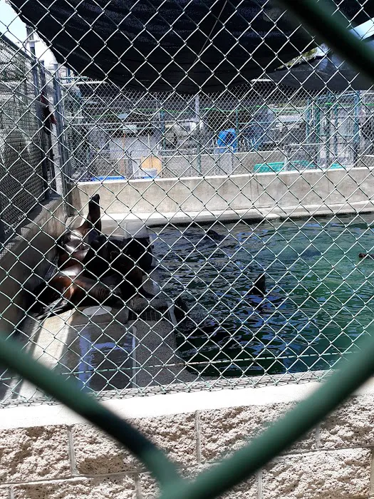 Marine Mammal Care Center 12