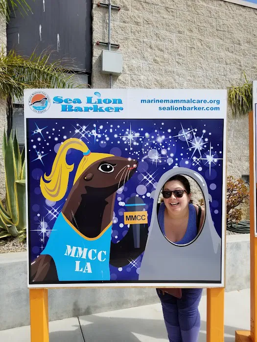 Marine Mammal Care Center 12