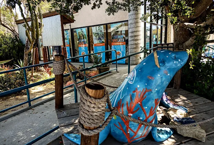 Marine Mammal Care Center 12