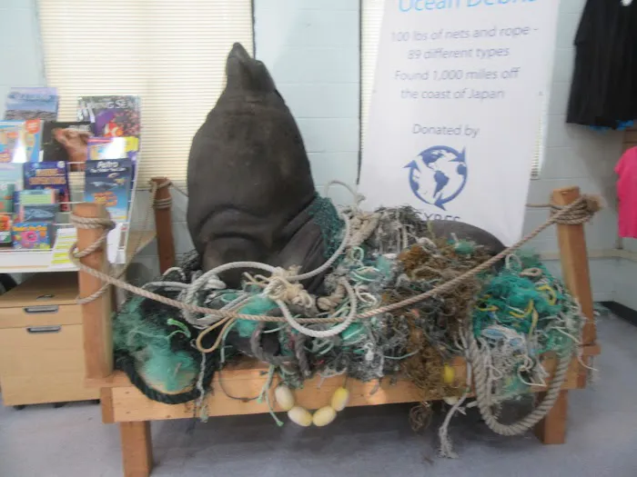 Marine Mammal Care Center 12