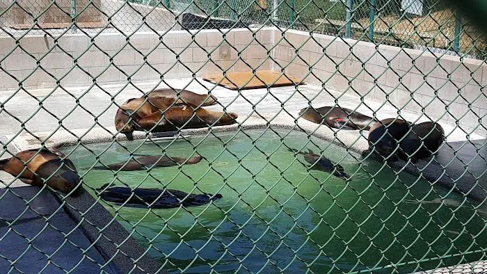 Marine Mammal Care Center 12