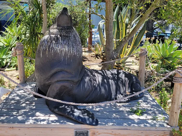 Marine Mammal Care Center 12