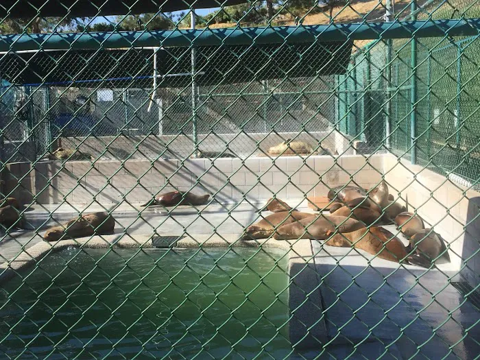 Marine Mammal Care Center 12