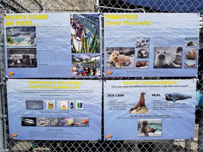 Marine Mammal Care Center 12