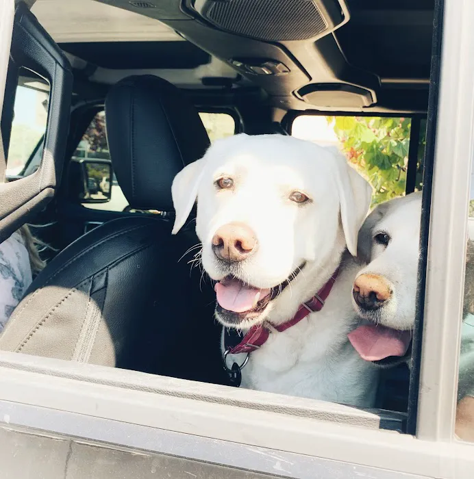 Integrative Pet Wellness Center 12