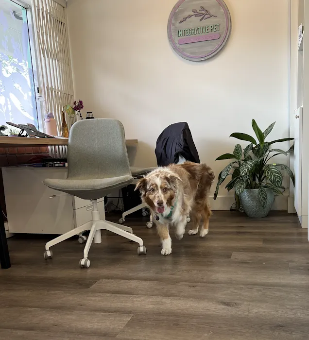 Integrative Pet Wellness Center 12
