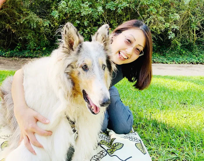 Integrative Pet Wellness Center 12
