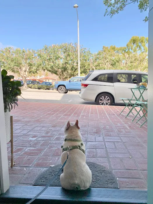 Integrative Pet Wellness Center 12