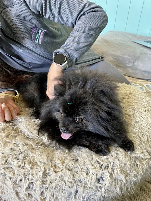 Integrative Pet Wellness Center 12