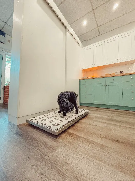 Integrative Pet Wellness Center 12