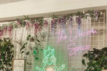 The Unicorn Space