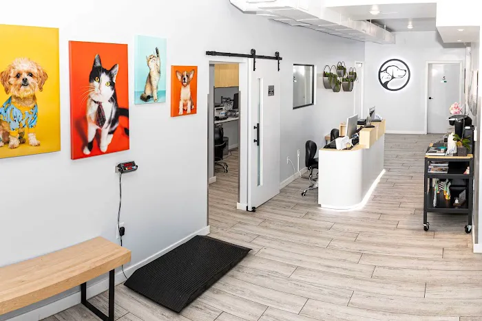 Peninsula Center Pet Hospital 12