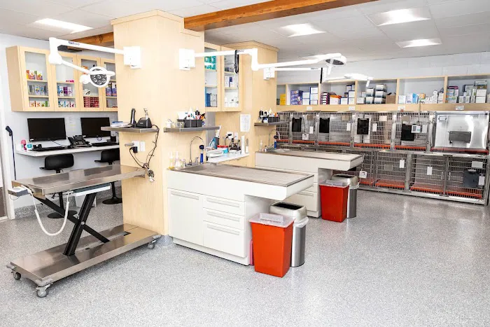 Peninsula Center Pet Hospital 12