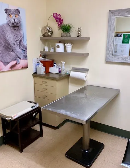 Peninsula Center Pet Hospital 12