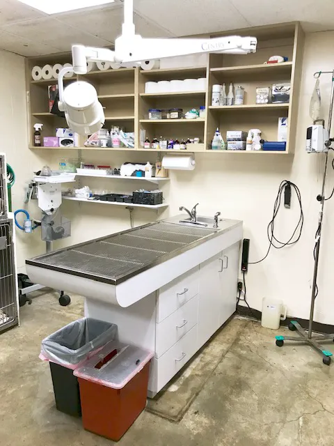 Peninsula Center Pet Hospital 12