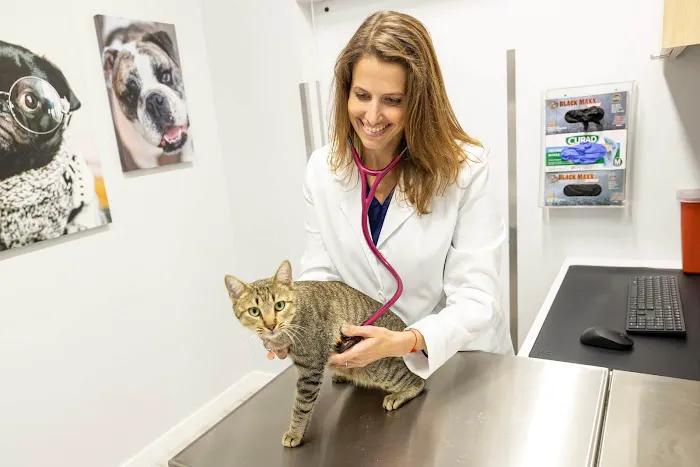 Peninsula Center Pet Hospital 12