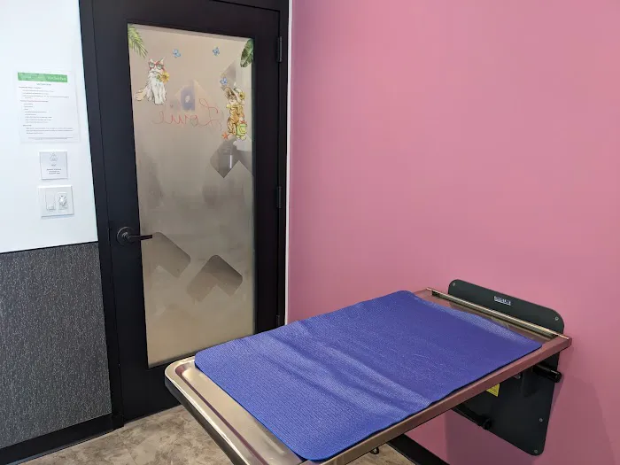 VCA Santa Monica Main Street Animal Hospital 12
