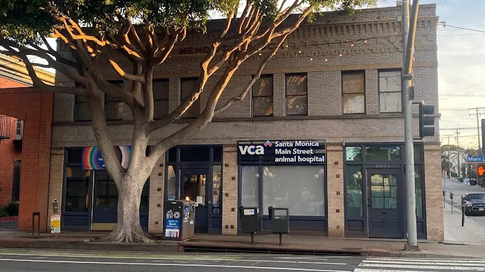 VCA Santa Monica Main Street Animal Hospital 12