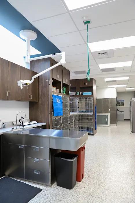 VCA Santa Monica Main Street Animal Hospital 12