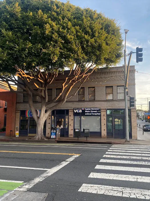 VCA Santa Monica Main Street Animal Hospital 12