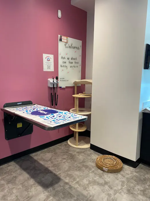 VCA Santa Monica Main Street Animal Hospital 12