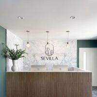 Sevilla Veterinary Hospital ico
