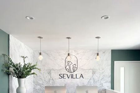Sevilla Veterinary Hospital