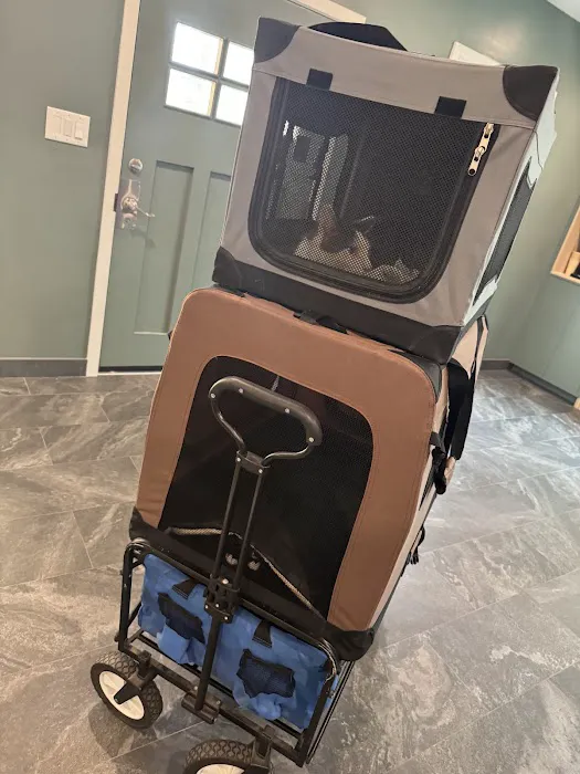 Sevilla Veterinary Hospital 12