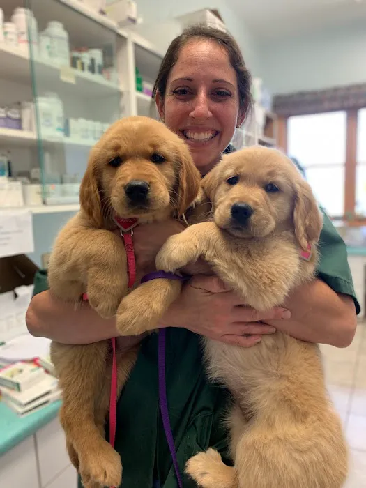 GreenTree Veterinary Service 12