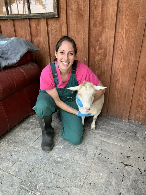 GreenTree Veterinary Service 12