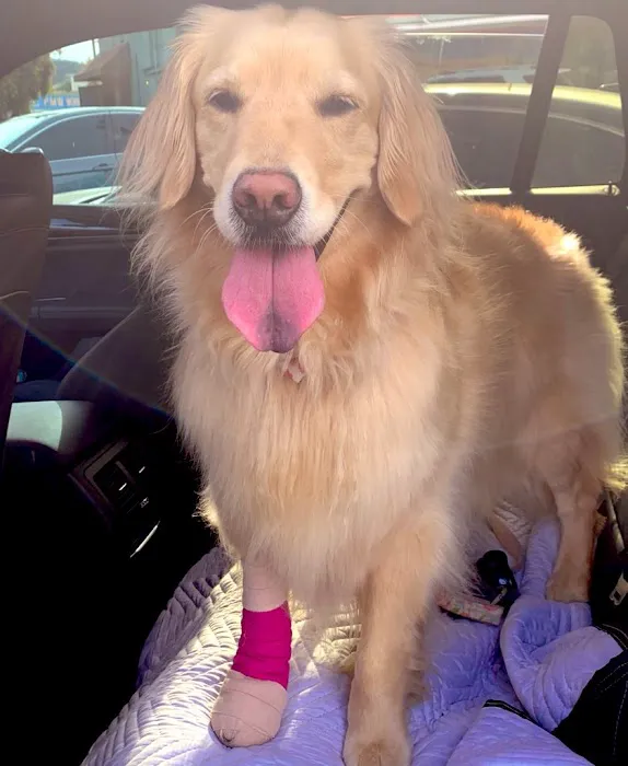 Palms & Paws Veterinary Center 5