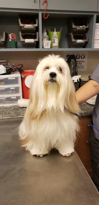 Parkview Pet Clinic, A Thrive Pet Healthcare Partner 3