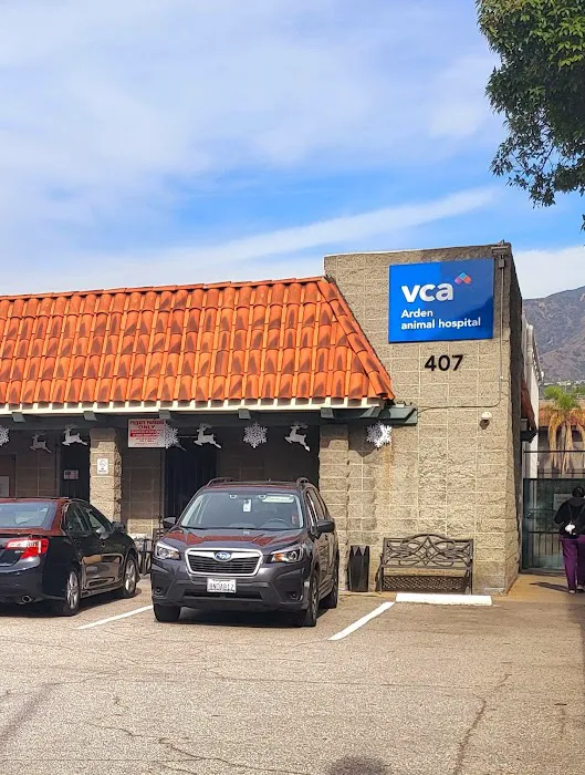 VCA Arden Animal Hospital 12