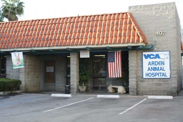 VCA Arden Animal Hospital 12