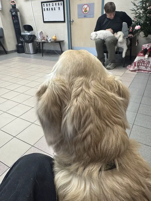 VCA Arden Animal Hospital 12