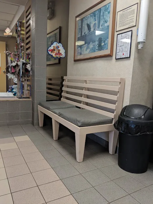 VCA Arden Animal Hospital 12