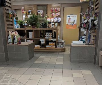 VCA Arden Animal Hospital